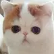 sss