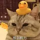 芝士豆腐脑