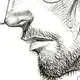 1900’Blog