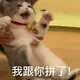 哎呦我去