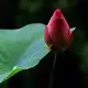 用户列表