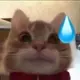 奥利安费