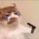 olp