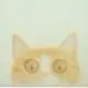 111