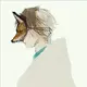 安少其