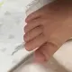 蝴蝶飞