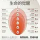苍天已死