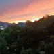 的风格和他