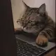 lggjx3