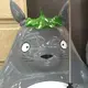 zh