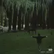 1307571270的头像