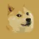 DogeH