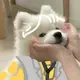 1010qaq