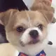 彭星星的头像