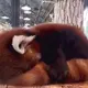 实打实