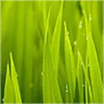 作者ckc6343的头像