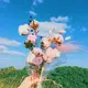 阿萨德